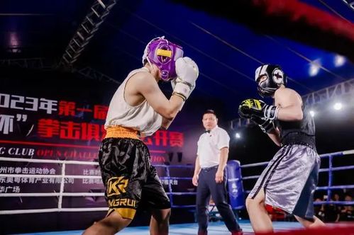 拳力出击 广州拳击俱乐部公开赛火热举行，展现赛事组织新高度