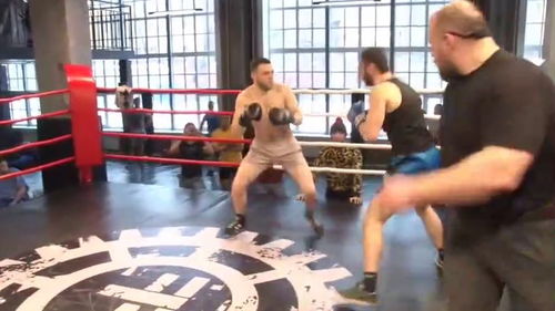 拳击 纪律与激情之间，赛事组织如何防范比赛变斗殴