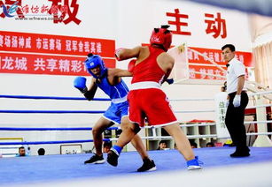 市运会拳击比赛圆满落幕，拳击运动赛事组织与管理经验总结