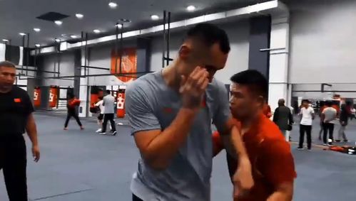 从塔沟武校到亚运赛场 韩雪振的拳击之路与赛事组织探析