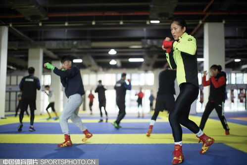 支部建在运动队丨中国拳击队 以扎实党建为奥运备战注入强劲动能