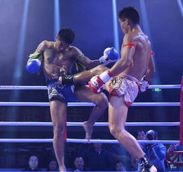 中国散打团力克七位泰拳王，魅力无法挡