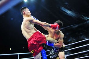 FF联赛首战引爆鹏城 首创搏击联赛开启深圳拳击新纪元